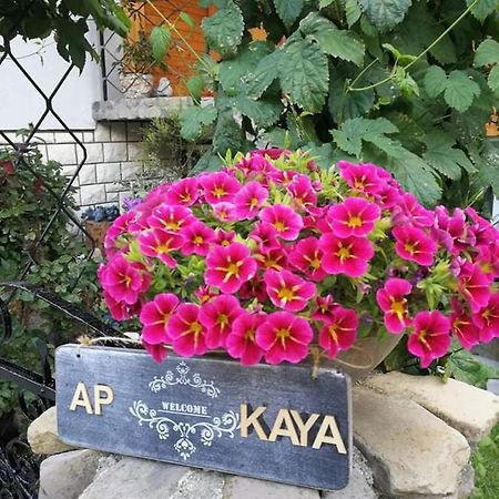 Apartment Kaya Mojstrana Luaran gambar