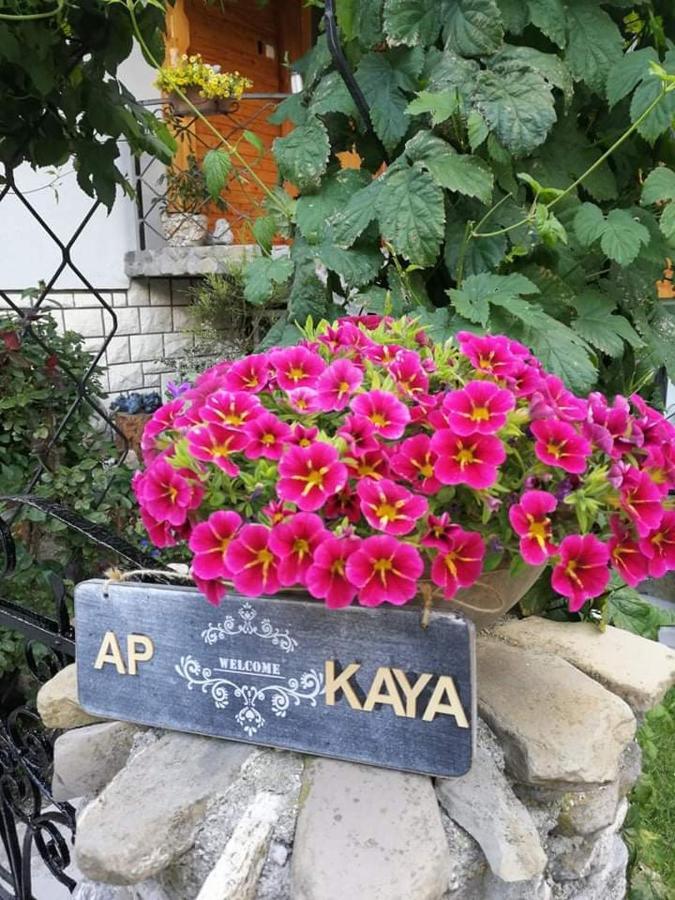 Apartment Kaya Mojstrana Luaran gambar